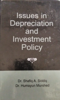 Image of Issues in Depreciation and Investment Policy